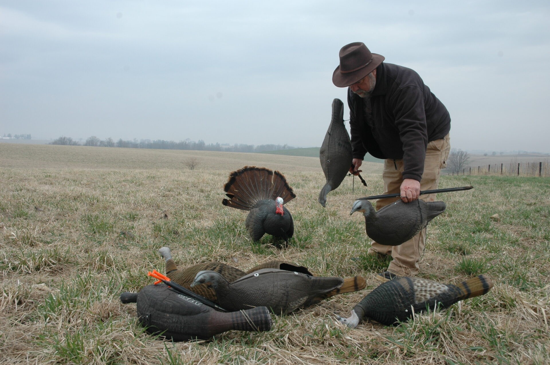 when to use turkey decoys